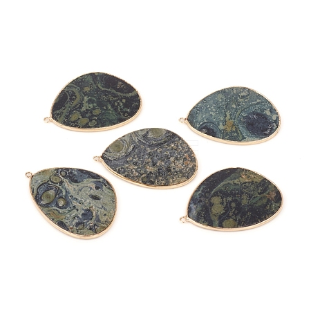 Natural Rhyolite Jasper Pendants G-E526-02L-1