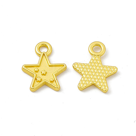 Rack Plating Alloy Charms FIND-G045-51MG-1