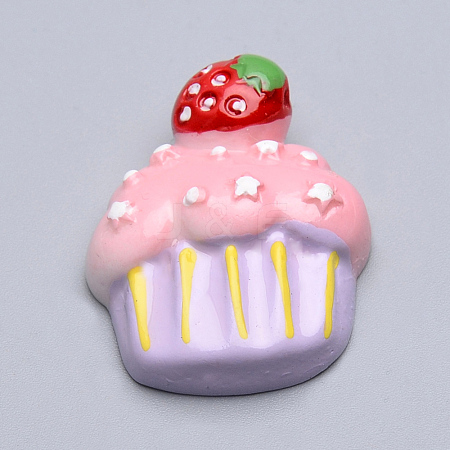 Resin Cabochons CRES-T005-47-1