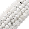 Natural Rainbow Moonstone Beads Strands G-I249-B04-03-7