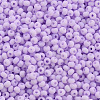 8/0 Opaque Glass Seed Beads SEED-S048-N-006-3