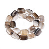 Natural Agate Beads Strands G-N356-03A-03-3