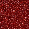 8/0 Glass Seed Beads X2-SEED-A005-3mm-25-2