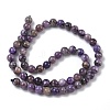 Natural Charoite Beads Strands G-C270-O02-04-3