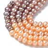 Natural Cultured Freshwater Pearl Beads Strands PEAR-C004-10-5