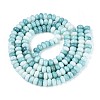 Glass Beads Strands X-GLAA-N059-5x8mm-43-2