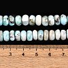 Natural Larimar Beads Strands G-H004-A01-02-6