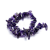 Natural Amethyst Beads Strands G-K220-04-2