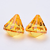 Transparent Acrylic Pendants TACR-Q260-C-V24-2