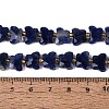 Natural Sodalite Beads Strands G-N371-10A-03-5