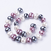 Shell Pearl Beads Strands BSHE-L035-E-3