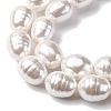 Electroplated Shell Pearl Beads Strands BSHE-H110-01-03-7