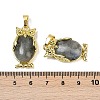 Natural Labradorite Pendant KK-F887-02G-09-3