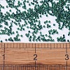 MIYUKI Delica Beads X-SEED-J020-DB0275-4