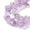 Natural Amethyst Chip Bead Strands G-M205-35-4