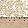 Glass Seed Beads SEED-K009-02A-08-4