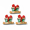 Christmas Theme Opaque Resin Cabochons LS-CRES-N021-120-1