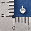 925 Sterling Silver Cubic Zirconia Charms STER-Q005-01A-A-3