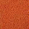 TOHO Round Seed Beads X-SEED-TR11-0957-2