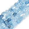 Natural Aquamarine Beads Strands X-G-P568-C13-01-2
