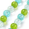 Handmade Foil Lampwork Beads Strands FOIL-K003-06B-25-1