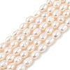 Natural Cultured Freshwater Pearl Beads Strands PEAR-I007-01B-05B-2
