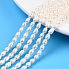 Natural Cultured Freshwater Pearl Beads Strands PEAR-N012-03E-1