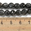 Natural Larvikite Beads Strands G-E571-A09-01-5