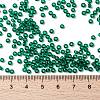 MIYUKI Round Rocailles Beads X-SEED-G008-RR0147-4