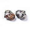 Natural Dalmatian Jasper Heart Love Stone G-F659-A15-2