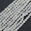 Natural White Moonstone Beads Strands G-E411-07-4mm-1