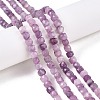 Natural Lepidolite/Purple Mica Stone Beads Strands G-N342-139-4