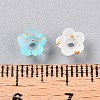 Frosted Transparent Acrylic Beads X-OACR-N137-72I-4