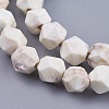 Dyed Natural Howlite Beads Strands TURQ-F010-12-3
