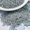 MIYUKI Delica Beads SEED-MY11-DB1770-1