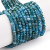Natural Apatite Beads Strands X-G-F770-D09-02B-2