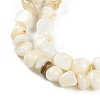 Natural Freshwater Shell  Beads Strands BSHE-H109-06-4