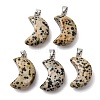 Natural Dalmatian Jasper Pendants G-F820-02L-16-1
