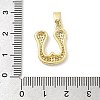 Brass Micro Pave Cubic Zirconia Pendants ZIRC-C012-01G-21-3