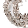 Transparent Glass Beads Strands GLAA-P060-01B-05-3