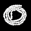 Opaque Glass Beads Strands GLAA-L050-C24-2