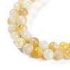 Natural Shell Pearl Beads Strands BSHE-H109-12B-4