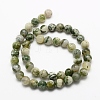 Natural Tree Agate Beads Strands G-K194-6mm-02-3