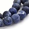 Frosted Natural Sodalite Round Bead Strands G-F231-01-6mm-1