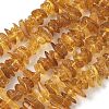 Natural Amber Beads Strands G-L095-D01-06-2