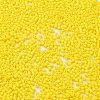 Baking Paint Glass Seed Beads SEED-S042-05B-81-3