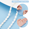   1 Strand Natural Cultured Freshwater Pearl Beads Strands PEAR-PH0001-16-4