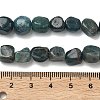 Natural Apatite Beads Strands G-R445-8x10-24A-3