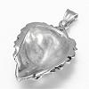 316 Surgical Stainless Steel Pendants STAS-P039-106AS-3