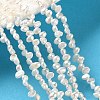 Natural Cultured Freshwater Pearl Beads Strands PA-CBABE82-02A-1